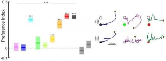Я прочёл исследование, кстати, довольно интересно.
В общем, в аквариум с объектами разных цветов запускали по 50 самок комаров и 16ю камерами тречили их траектории.
После 1.3млн таких траекторий - общая суть: без СО2 комарам вообще пофик на всё. Летают себе просто вокруг. Если пустить углекислый газ - у них активируется поиск цели. На определённые цвета летят прямиком не раздумывая - на чёрный и оттенки жёлто-красного, а, к примеру, зеленый и белый - игнорят. На голую руку летят - в зеленой перчатке - нет.
Короче, в палатке надо спать в противогазе, а шланг выкидывать наружу. Или одевать жену в красное, а самому спать в комуфле