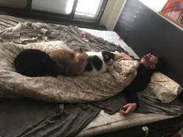 Расположились в порядке очереди на кормежку.