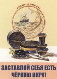 Вот лучший!