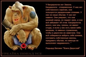 УЕФА проведет дисциплинарное расследование поведения украинских болельщиков на матче по мини-футболу