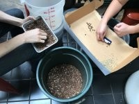 А как насчёт перебрать пару кило гречки?