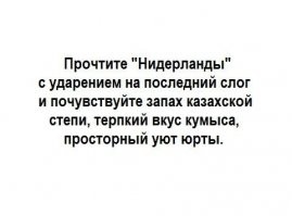 Как Нидерланды находятся ниже уровня моря, но страну при этом не затапливает?