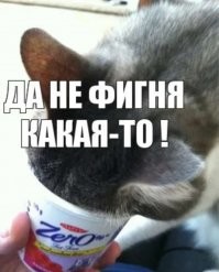 Смешные и познавательные картинки