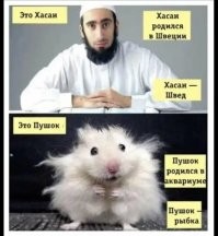 Смешные и познавательные картинки