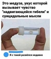 Пошлю своей бывшей.