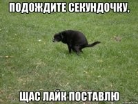 Владелица двух собак потратила на их гардероб около 1,5 миллиона рублей