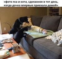 Ясно, а шавуху зачем на кровать положили.