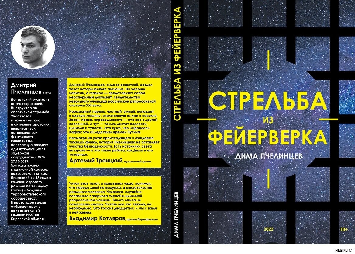 Вывел на обложке. Дело сети Пчелинцев. Книги Дмитрия Ахметова.