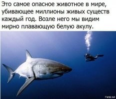 Пугающая атмосфера морей, океанов и озёр
