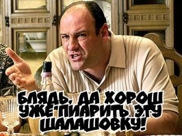 Владелица двух собак потратила на их гардероб около 1,5 миллиона рублей