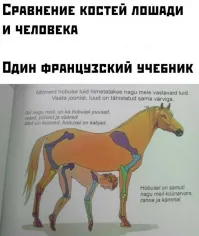 Где-то я пропустил тот момент,когда французы на эстонский перешли.