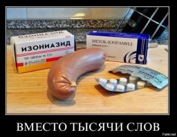 Нападения собак на людей продолжаются, псы насмерть загрызли женщину в Ярославской области