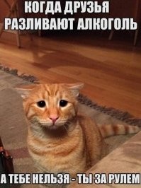 Алкопост на вечер этой пятницы