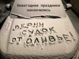 Смешные и познавательные картинки