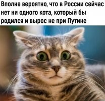 Еще один внезапный факт