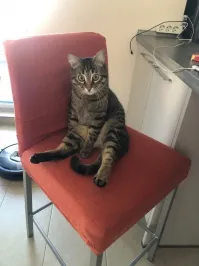 Когда понял зачем его возили к врачу.