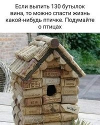 Птичка там всегда весела и щепечет всякую чепуху

И к последнему фото - не дождался выходных, а дожил до них, выживи и после них