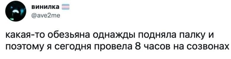 А другая обезьяна подняла трубку и держала её 8 часов подряд. Ути хоспади