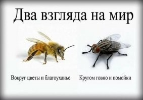 Ну что сказать... Понятно, какой у автора взгляд на мир.
