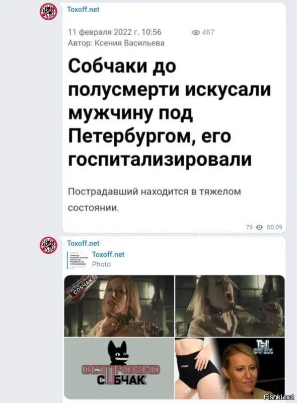 Пишите правильно - лошади покусали