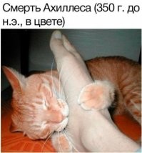 Попутали Ахиллеса с Александром Македонским? Так-то Ахиллес жил лет на 1000 пораньше.