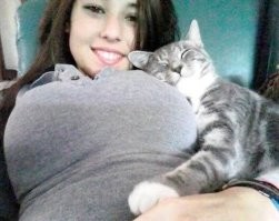 Блендер, раковина, статуя и сапоги: 16 необычных мест, где любят отдыхать котики