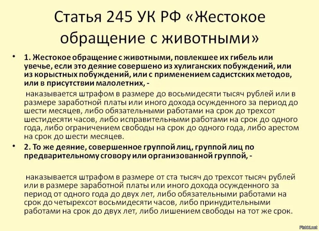 Заявление на жестокое обращение с животными образец