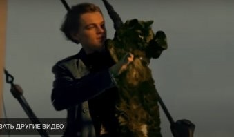 Супер !!! Оставлю эти фото в любимых , буду своим хвостатым оболтусам показывать талантливого « сына» подруги )))