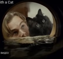 Супер !!! Оставлю эти фото в любимых , буду своим хвостатым оболтусам показывать талантливого « сына» подруги )))
