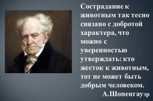 Спасибо за ДОБРОТЫ ПОСТ !!!
Я вот имею пять хвостатых проказников в доме. И проблема такая, что после передержки расстаться с котёнком уже не могу, до слёз. Поэтому пять. Больше в дом не беру, но помогаю как могу и деньгами, и продуктами волонтёрам и приютам, и сказать могу только одно : мы, ВСЕ, человеки, имеющие статус разумных, в ответе за тех, кого приручили наши предки. ВСЕ.