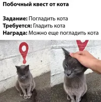 Стоимость участия: пакет вискаса