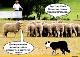 Четвероногий эффективный менеджер 