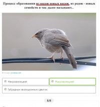 Автор сам двоечник. Макроэволюция - это создание более крупных системных единиц:
из видов - новый род, из родов - новое семейство, из семейств - новый отряд, из отряда - новый класс ...