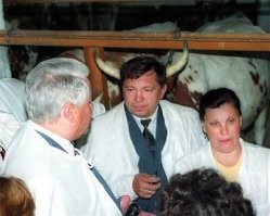 С ностальгией и болью о лихих 90-х: пополняем фотоальбом того времени