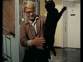 Я вам не Шурик, а Александр Сергеевич
