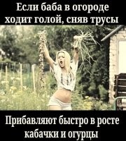 Смешные и познавательные картинки