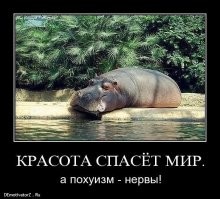 Секрет долголетия австралийки оказался неожиданным