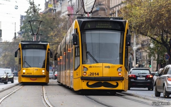 Испанский трамвай с маской, а Будапештский - с усами