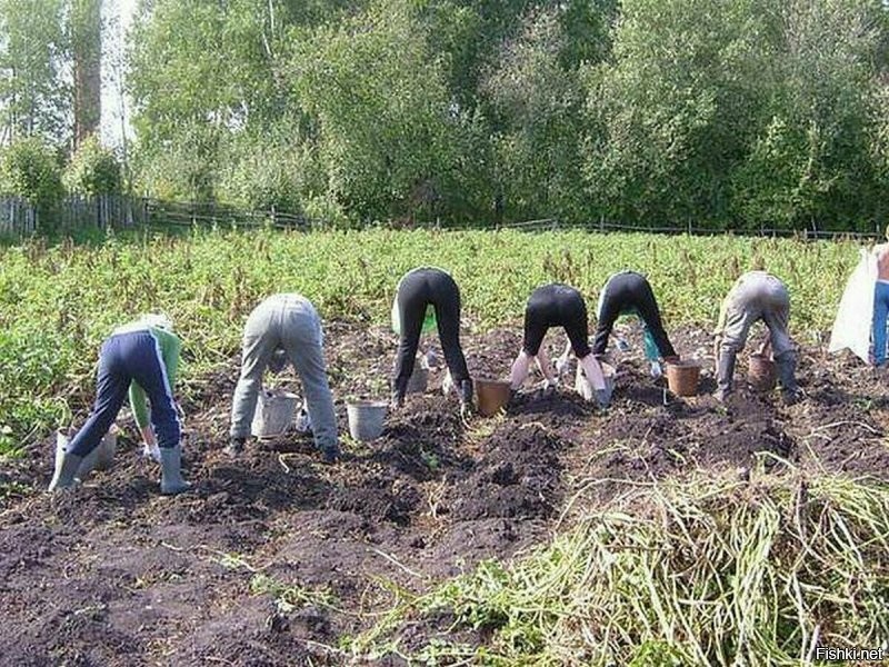 Ну не все по морям и горам лазали. У многих отдых был куда как прозаичнее. 
P.S. Димон впадает в грех лайкодрочерства.