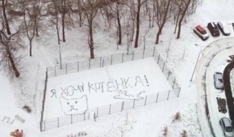 Вместо кисти - лопата: житель Екатеринбурга создает картины на снегу