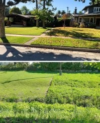 Ха!
Эти фото, я так понимаю, сделаны на Западе, для предъявления в надзорные органы, как свидетельство что соседи не ухаживают за газоном, согласно установленным требованиям.
И им там очень хорошо ,,напихали,, (штрафанули), чтобы больше не хотелось ,,делиться на два типа,,)))