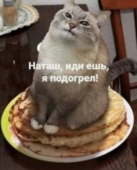 Маловато будет ! 
Добавлю трогательную картинку, как кот заботится от своей хозяйке :