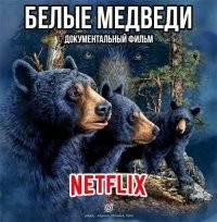 Горшочек, не вари: мемы о новом Властелине колец делают быстрее, чем Netflix выпускает сериалы