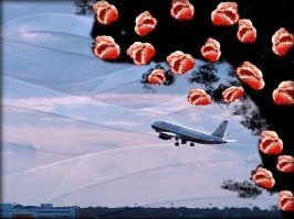 Это не просто зубастики. Это лонгольеры...