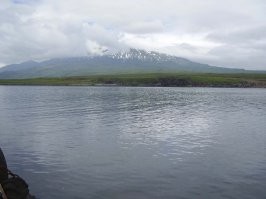 Ну экономию на персонале я застал, мы и были подрядчиками, хотя там и чисто наши управленцы руку приложили. А вот по материалам в то время (2006-2014), вроде вопросов не было. Я потом работал уже на  "кабельных" операторов, до 2020 дотянул и сменил область уже кардинально. 
 Сам с Сахалина, по работе на "Вымпелком" хорошо по Курильским островам покатался. Красота!