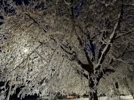 Смешные видео по&nbsp;5&nbsp;- 30&nbsp;секунд