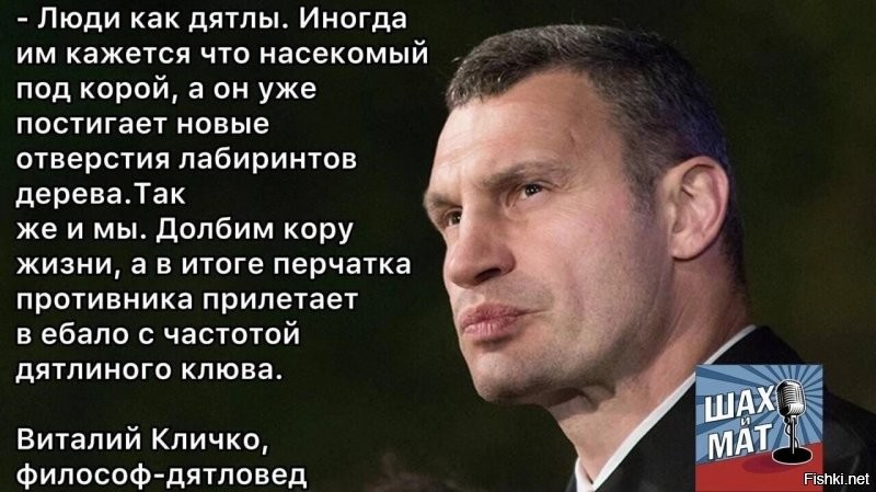 "Мы быстрее повымираем, чем Путин нападет": украинец обратился к мэру Киева Кличко