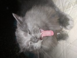 мой хорорр)))