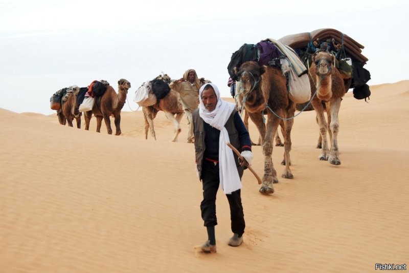 еще чуть чуть и большая пустыня в уеропе. одни бедуинохохлы и верблюды. красота!!!!!