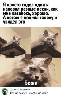 Смешные и познавательные картинки